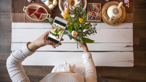 Pinterest Boards for Curating Seasonal Restaurant Menus